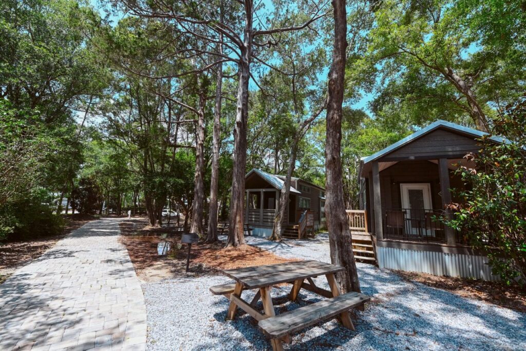 Luxury cabins in FL shaded by tall pines at Splash RV Resort near Pensacola