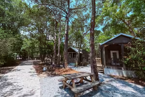 Luxury cabins in FL shaded by tall pines at Splash RV Resort near Pensacola