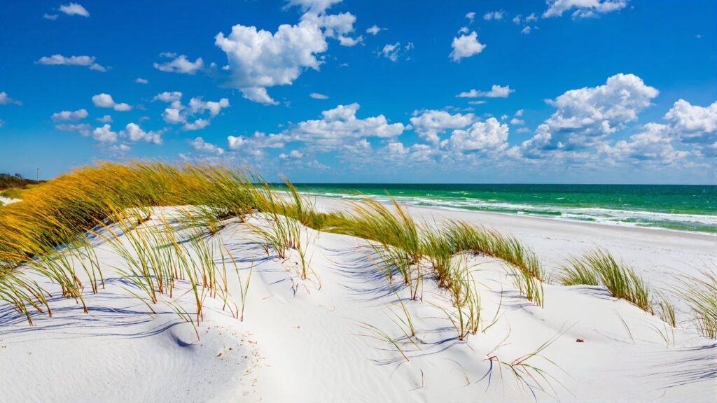 Sugar-white sand dunes with sea oats and emerald Gulf water near Navarre Beach, FL