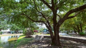 Shaded RV sites beside a pond at a monthly RV park near Pensacola and Navarre Beach FL