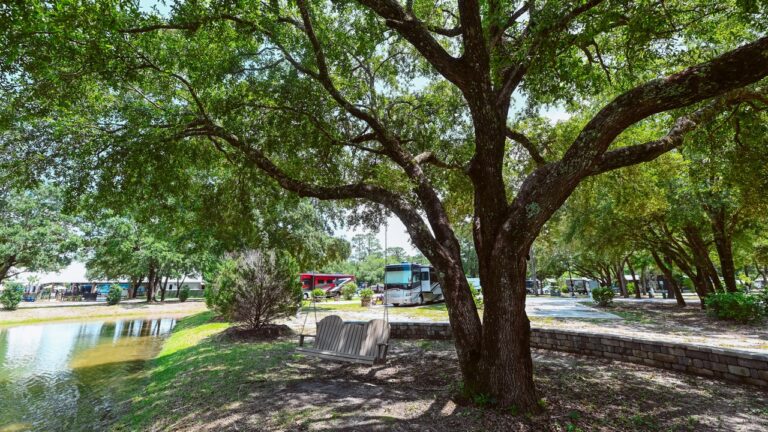 Shaded RV sites beside a pond at a monthly RV park near Pensacola and Navarre Beach FL