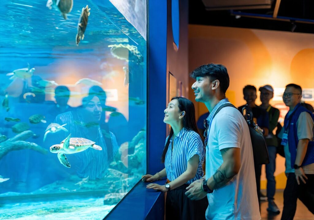 Visitors watching a green sea turtle at a marine center near Navarre