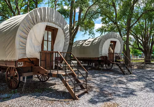 Splash RV Resort glamping wagons beneath oak trees
